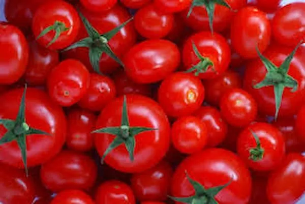 قیمت رب گوجه فرنگی کوچک + خرید و فروش انکر عمده