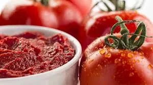 خرید گوجه فرنگی صنعتی + معرفی کارخانه تولید و عرضه پخش
