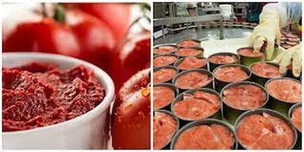 رب گوجه فرنگی با طعم ملایم | قیمت مناسب خرید عالی