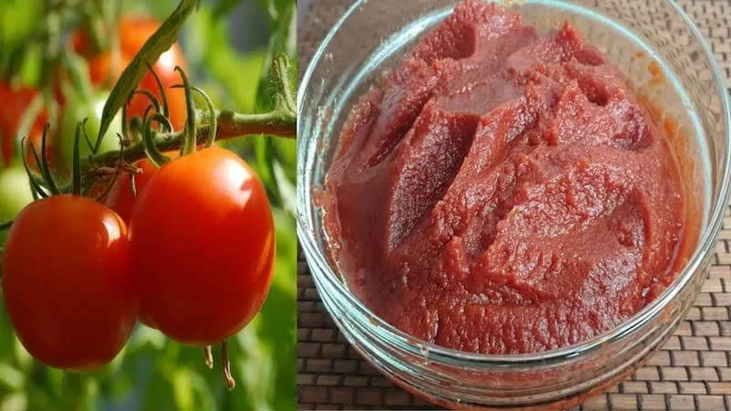 رب گوجه فرنگی با رنگ طبیعی + بهترین قیمت خرید