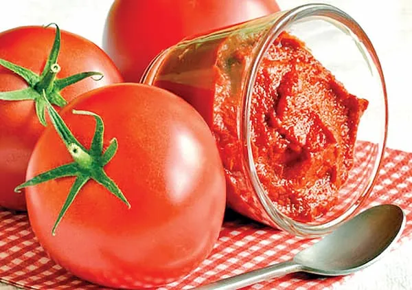 رب گوجه فرنگی با بستهبندی خانوادگی + بهترین قیمت خرید
