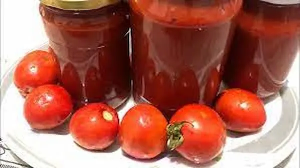 رب گوجه فرنگی در رژیم غذایی + بهترین قیمت خرید