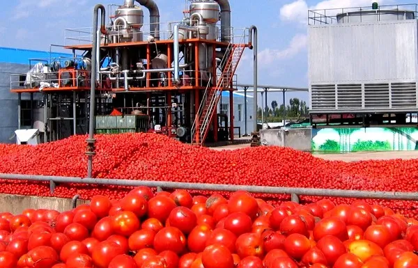 خرید رب گوجهفرنگی کنسروی با قیمت استثنایی