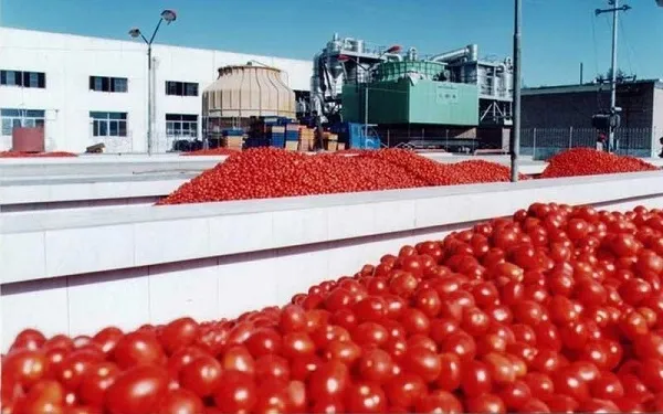 خرید رب گوجهفرنگی کنسروی با قیمت استثنایی