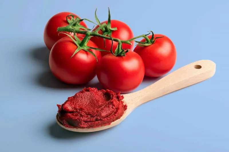 خرید رب گوجه فرنگی عمده | قیمت مناسب خرید عالی
