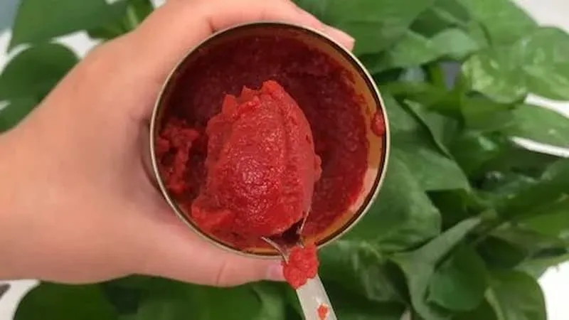رب گوجه فرنگی در بسته‌بندی شیشه‌ای + بهترین قیمت خرید